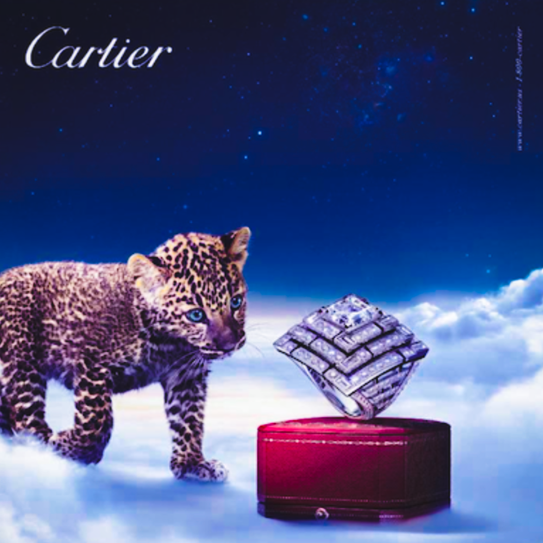 CARTIER: HIGH PROFILE